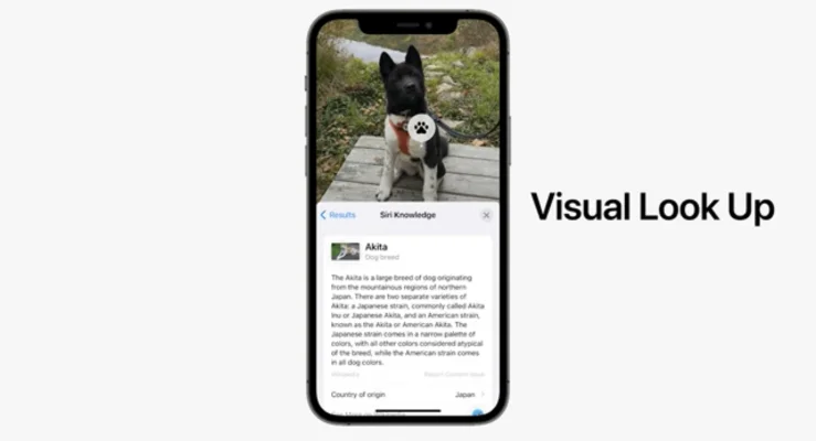WWDC21: Apple stellt iOS 15 mit zahlreichen neuen Funktionen vor