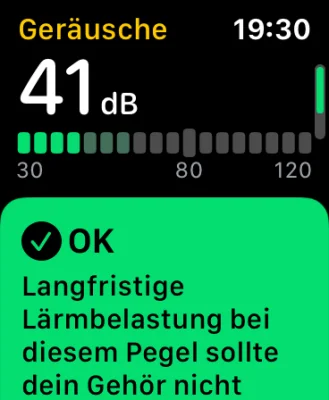 AppleWatch und watchOS 6 - so sieht die neue Geräuschpegel-Funktion aus