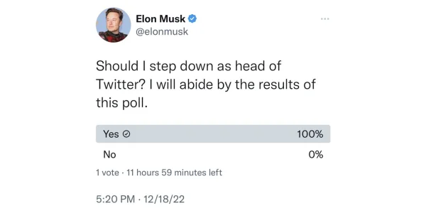 Twitter: Elon Musk lässt über seinen Verbleib im Unternehmen abstimmen