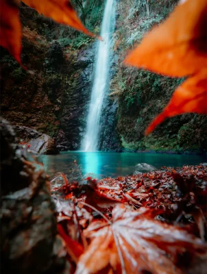 "Shot on iPhone 12": Apple stellt Fotostrecke online