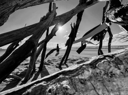 "Shot on iPhone 12": Apple stellt Fotostrecke online