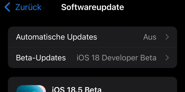 iOS 18.5 & iPadOS 18.5: Die Public Beta ist da! (Update)