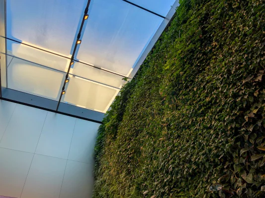 So sieht der renovierte Apple Store in Sydney aus