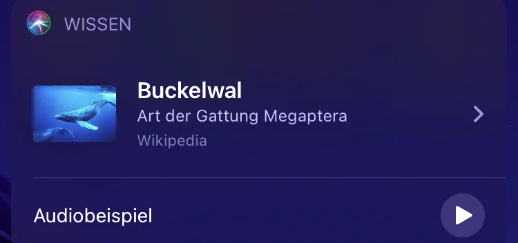Siri kann unter iOS 14.3 & iPadOS 14.3 Geräusche von Tieren, Fahrzeugen & Instrumenten wiedergeben