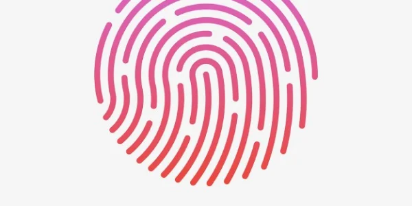 Touch ID im Display des iPhone 13 wird immer wahrscheinlicher