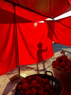 "Shot on iPhone 12": Apple stellt Fotostrecke online