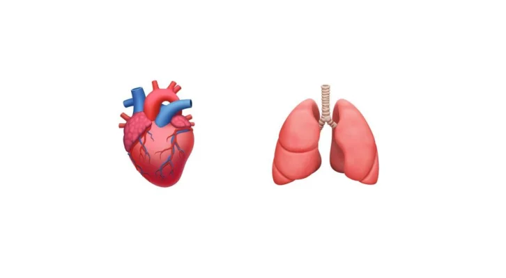 Ninja, Biber & Menschen mit Mundschutz: Diese Emojis erwarten uns in diesem Jahr